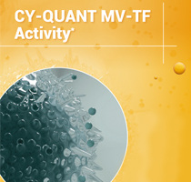 Cy-Quant MV-TF Activity